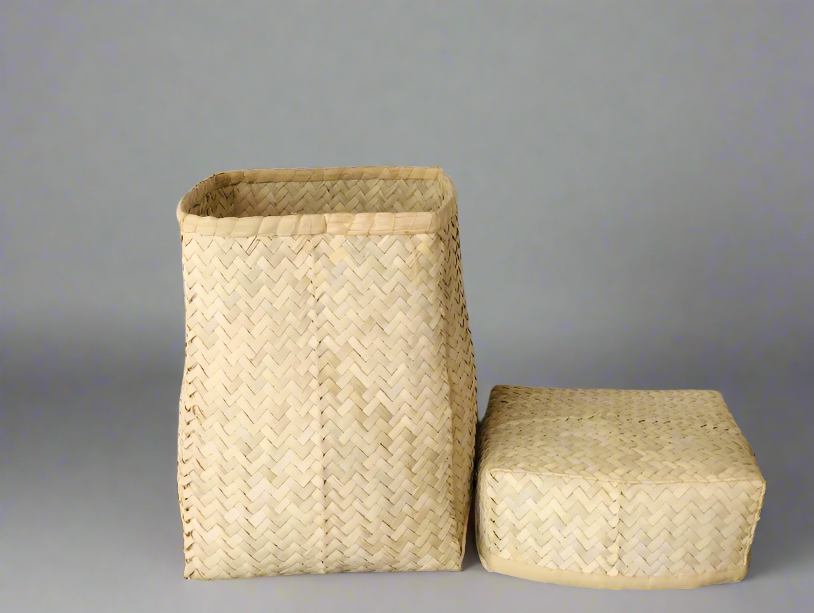 ๐๐ฎ๐ป๐ฑ๐๐ผ๐๐ฒ๐ป ๐๐ฎ๐๐ฒ ๐ฃ๐ฎ๐น๐บ ๐๐ฒ๐ฎ๐ณ ๐ฆ๐๐ผ๐ฟ๐ฎ๐ด๐ฒ ๐๐ฎ๐๐ธ๐ฒ๐ ๐ฆ๐ฒ๐